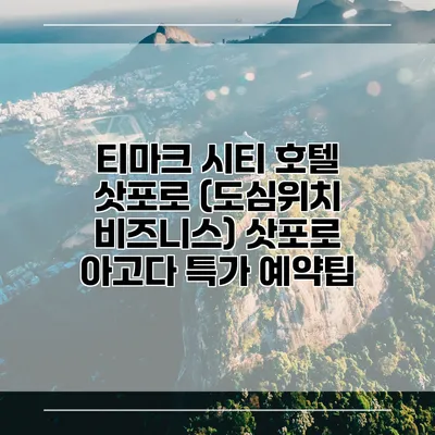 티마크 시티 호텔 삿포로 (도심위치 비즈니스) 삿포로 아고다 특가 예약팁