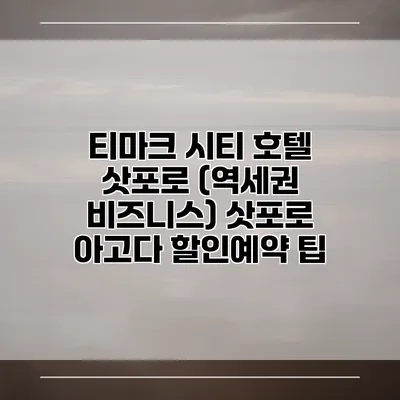 티마크 시티 호텔 삿포로 (역세권 비즈니스) 삿포로 아고다 할인예약 팁