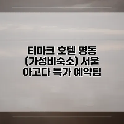 티마크 호텔 명동 (가성비숙소) 서울 아고다 특가 예약팁