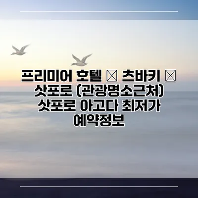 프리미어 호텔 – 츠바키 – 삿포로 (관광명소근처) 삿포로 아고다 최저가 예약정보