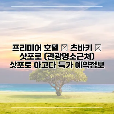 프리미어 호텔 – 츠바키 – 삿포로 (관광명소근처) 삿포로 아고다 특가 예약정보