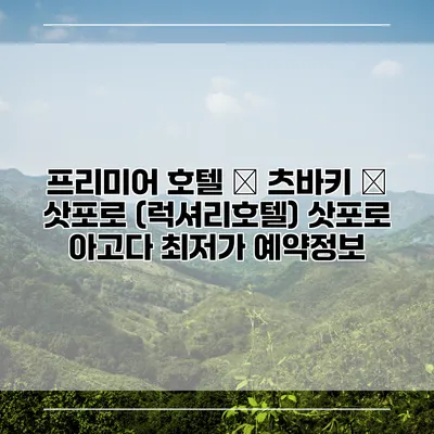 프리미어 호텔 – 츠바키 – 삿포로 (럭셔리호텔) 삿포로 아고다 최저가 예약정보