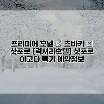 프리미어 호텔 – 츠바키 – 삿포로 (럭셔리호텔) 삿포로 아고다 특가 예약정보