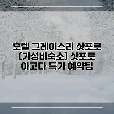 호텔 그레이스리 삿포로 (가성비숙소) 삿포로 아고다 특가 예약팁