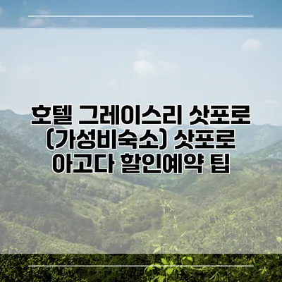 호텔 그레이스리 삿포로 (가성비숙소) 삿포로 아고다 할인예약 팁
