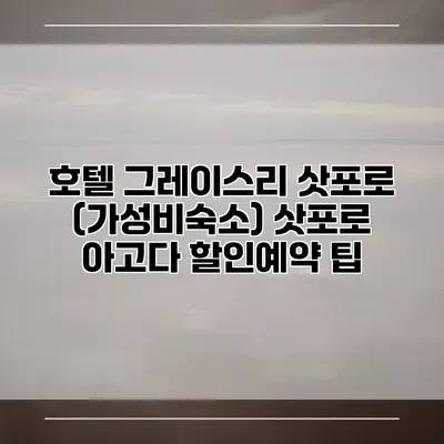 호텔 그레이스리 삿포로 (가성비숙소) 삿포로 아고다 할인예약 팁