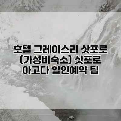 호텔 그레이스리 삿포로 (가성비숙소) 삿포로 아고다 할인예약 팁