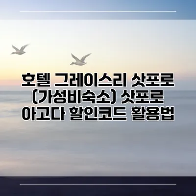 호텔 그레이스리 삿포로 (가성비숙소) 삿포로 아고다 할인코드 활용법