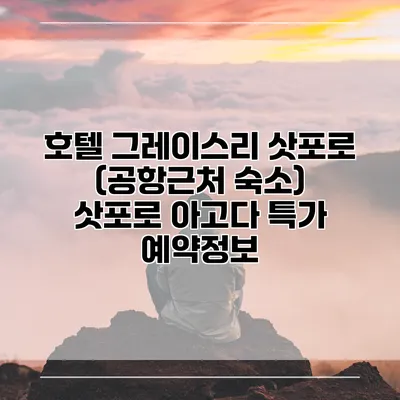 호텔 그레이스리 삿포로 (공항근처 숙소) 삿포로 아고다 특가 예약정보