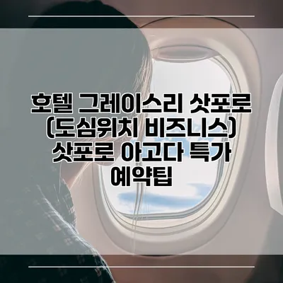 호텔 그레이스리 삿포로 (도심위치 비즈니스) 삿포로 아고다 특가 예약팁