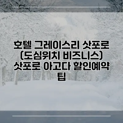 호텔 그레이스리 삿포로 (도심위치 비즈니스) 삿포로 아고다 할인예약 팁