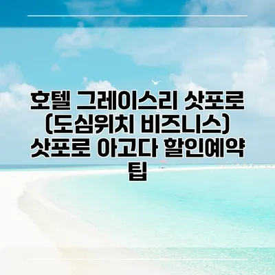 호텔 그레이스리 삿포로 (도심위치 비즈니스) 삿포로 아고다 할인예약 팁