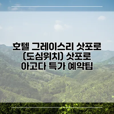 호텔 그레이스리 삿포로 (도심위치) 삿포로 아고다 특가 예약팁