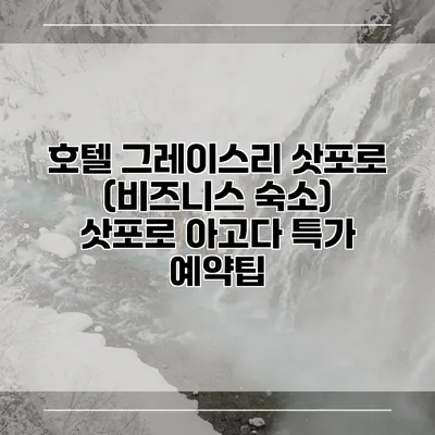 호텔 그레이스리 삿포로 (비즈니스 숙소) 삿포로 아고다 특가 예약팁