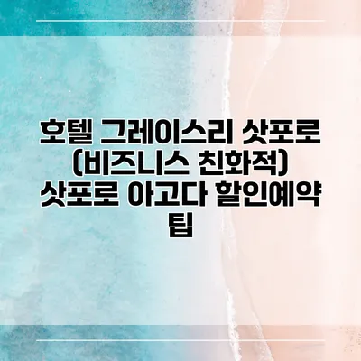 호텔 그레이스리 삿포로 (비즈니스 친화적) 삿포로 아고다 할인예약 팁