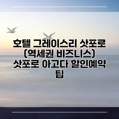 호텔 그레이스리 삿포로 (역세권 비즈니스) 삿포로 아고다 할인예약 팁