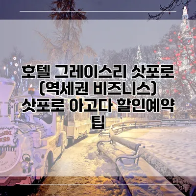 호텔 그레이스리 삿포로 (역세권 비즈니스) 삿포로 아고다 할인예약 팁