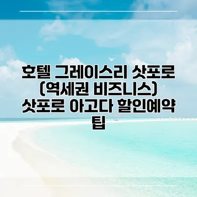 호텔 그레이스리 삿포로 (역세권 비즈니스) 삿포로 아고다 할인예약 팁