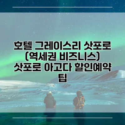 호텔 그레이스리 삿포로 (역세권 비즈니스) 삿포로 아고다 할인예약 팁