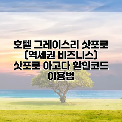 호텔 그레이스리 삿포로 (역세권 비즈니스) 삿포로 아고다 할인코드 이용법