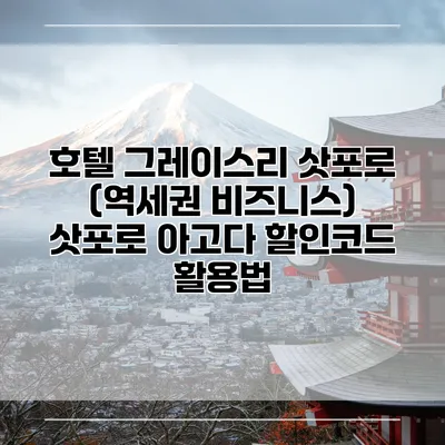 호텔 그레이스리 삿포로 (역세권 비즈니스) 삿포로 아고다 할인코드 활용법