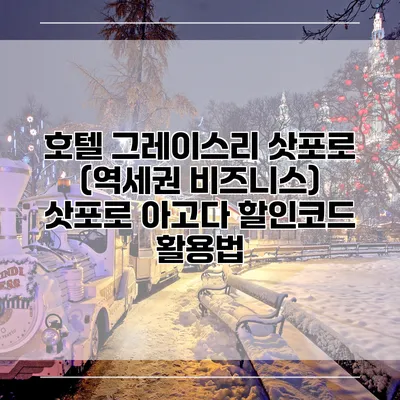 호텔 그레이스리 삿포로 (역세권 비즈니스) 삿포로 아고다 할인코드 활용법