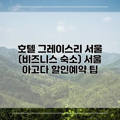 호텔 그레이스리 서울 (비즈니스 숙소) 서울 아고다 할인예약 팁