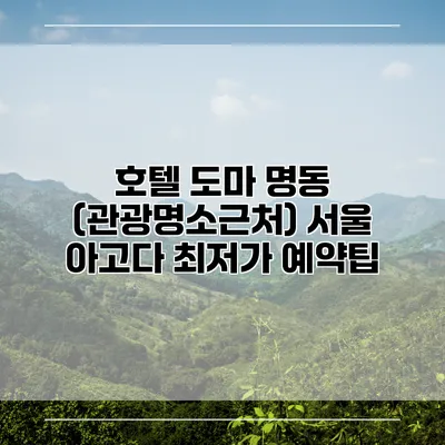 호텔 도마 명동 (관광명소근처) 서울 아고다 최저가 예약팁