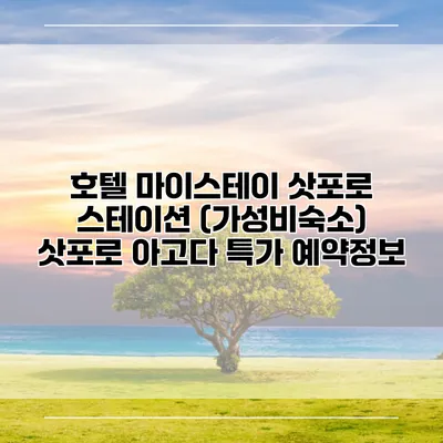 호텔 마이스테이 삿포로 스테이션 (가성비숙소) 삿포로 아고다 특가 예약정보