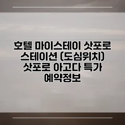 호텔 마이스테이 삿포로 스테이션 (도심위치) 삿포로 아고다 특가 예약정보