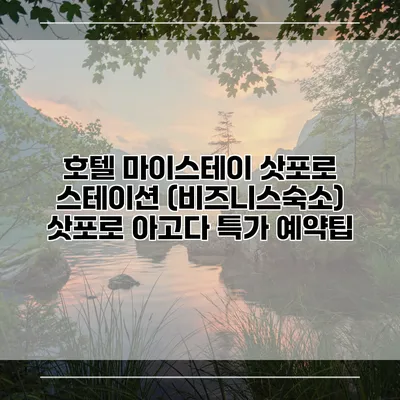 호텔 마이스테이 삿포로 스테이션 (비즈니스숙소) 삿포로 아고다 특가 예약팁