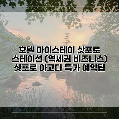 호텔 마이스테이 삿포로 스테이션 (역세권 비즈니스) 삿포로 아고다 특가 예약팁