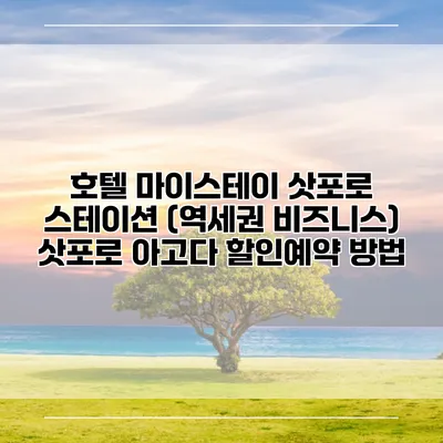 호텔 마이스테이 삿포로 스테이션 (역세권 비즈니스) 삿포로 아고다 할인예약 방법