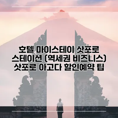 호텔 마이스테이 삿포로 스테이션 (역세권 비즈니스) 삿포로 아고다 할인예약 팁