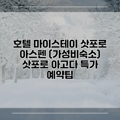 호텔 마이스테이 삿포로 아스펜 (가성비숙소) 삿포로 아고다 특가 예약팁