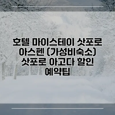 호텔 마이스테이 삿포로 아스펜 (가성비숙소) 삿포로 아고다 할인 예약팁
