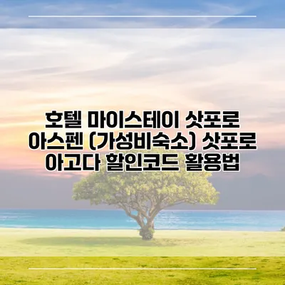 호텔 마이스테이 삿포로 아스펜 (가성비숙소) 삿포로 아고다 할인코드 활용법