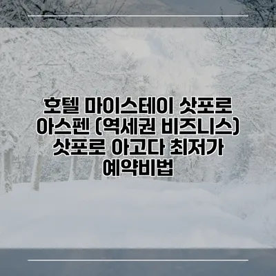 호텔 마이스테이 삿포로 아스펜 (역세권 비즈니스) 삿포로 아고다 최저가 예약비법