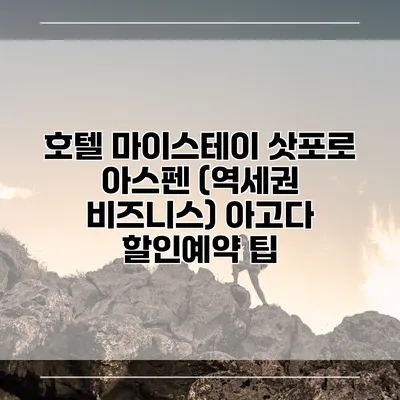 호텔 마이스테이 삿포로 아스펜 (역세권 비즈니스) 아고다 할인예약 팁