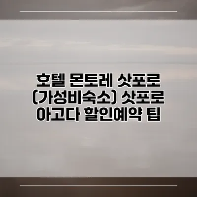 호텔 몬토레 삿포로 (가성비숙소) 삿포로 아고다 할인예약 팁