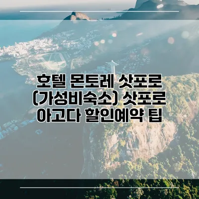 호텔 몬토레 삿포로 (가성비숙소) 삿포로 아고다 할인예약 팁
