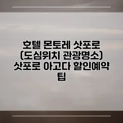 호텔 몬토레 삿포로 (도심위치 관광명소) 삿포로 아고다 할인예약 팁
