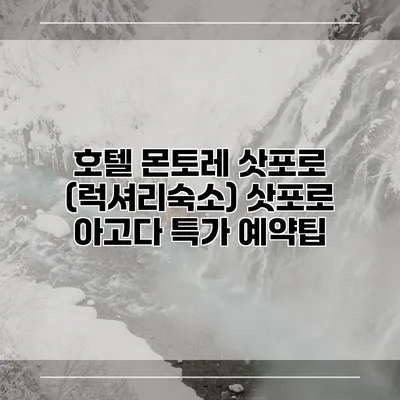 호텔 몬토레 삿포로 (럭셔리숙소) 삿포로 아고다 특가 예약팁