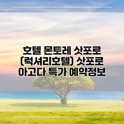 호텔 몬토레 삿포로 (럭셔리호텔) 삿포로 아고다 특가 예약정보