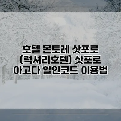 호텔 몬토레 삿포로 (럭셔리호텔) 삿포로 아고다 할인코드 이용법