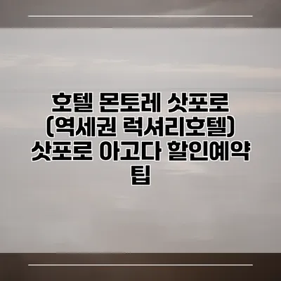 호텔 몬토레 삿포로 (역세권 럭셔리호텔) 삿포로 아고다 할인예약 팁