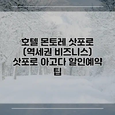 호텔 몬토레 삿포로 (역세권 비즈니스) 삿포로 아고다 할인예약 팁
