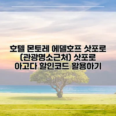 호텔 몬토레 에델호프 삿포로 (관광명소근처) 삿포로 아고다 할인코드 활용하기
