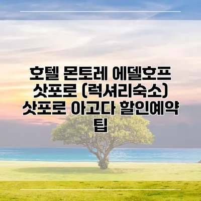 호텔 몬토레 에델호프 삿포로 (럭셔리숙소) 삿포로 아고다 할인예약 팁