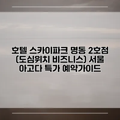 호텔 스카이파크 명동 2호점 (도심위치 비즈니스) 서울 아고다 특가 예약가이드